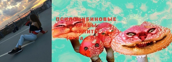 прущие крисы Балахна