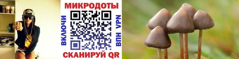 Псилоцибиновые грибы мицелий  Шагонар 